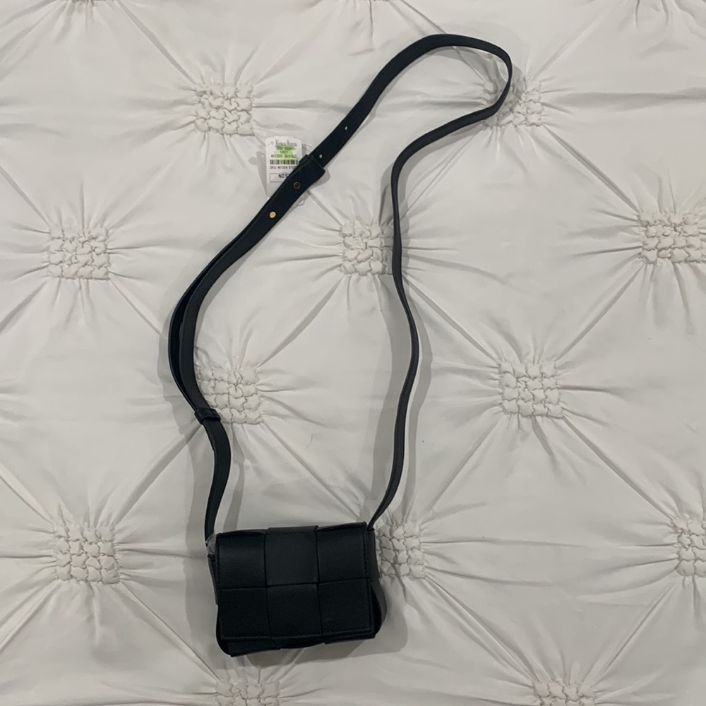 Bottega mini cassette bag